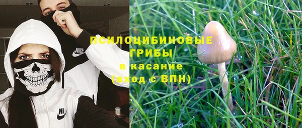спиды Алексин