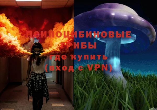 соль ск Алзамай