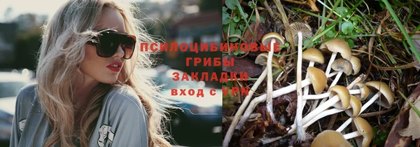 бутират Алексеевка