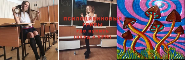 соль ск Алзамай